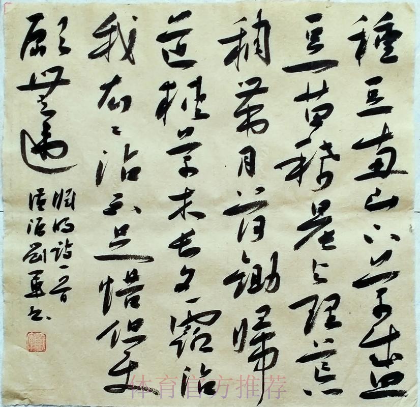 银舰拾「贝」无难度 银舰拾「贝」无难度