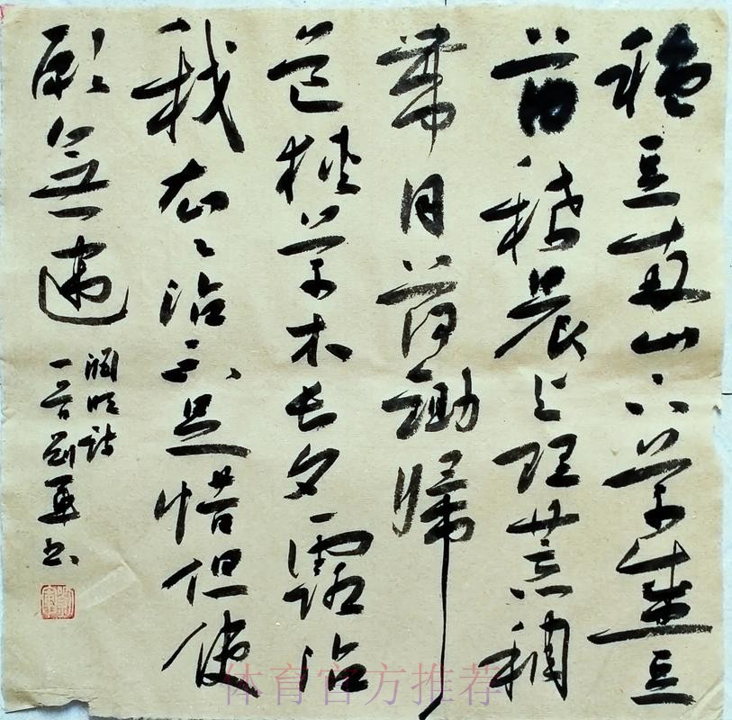 银舰拾「贝」无难度 银舰拾「贝」无难度